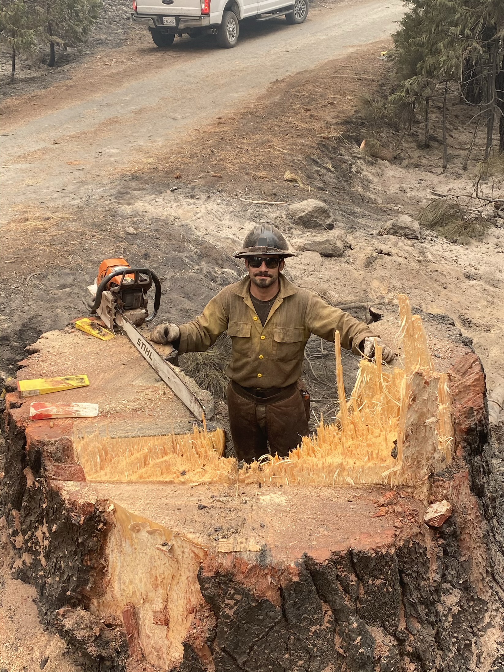 Tree Frog LLC work photo